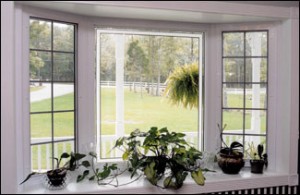 Bay Window Rockford IL